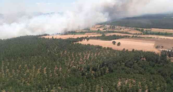 Çanakkale’de ziraat yangını ormana sıçradı