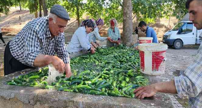 Kahramanmaraş salatalığı sofralardaki yerini aldı