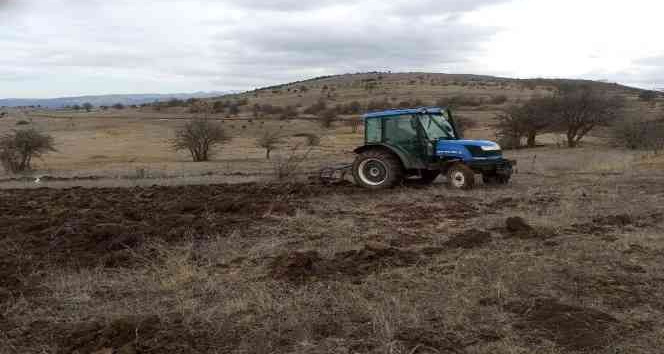 Ordu’da 18 bin dönüm arazi tarıma kazandırıldı