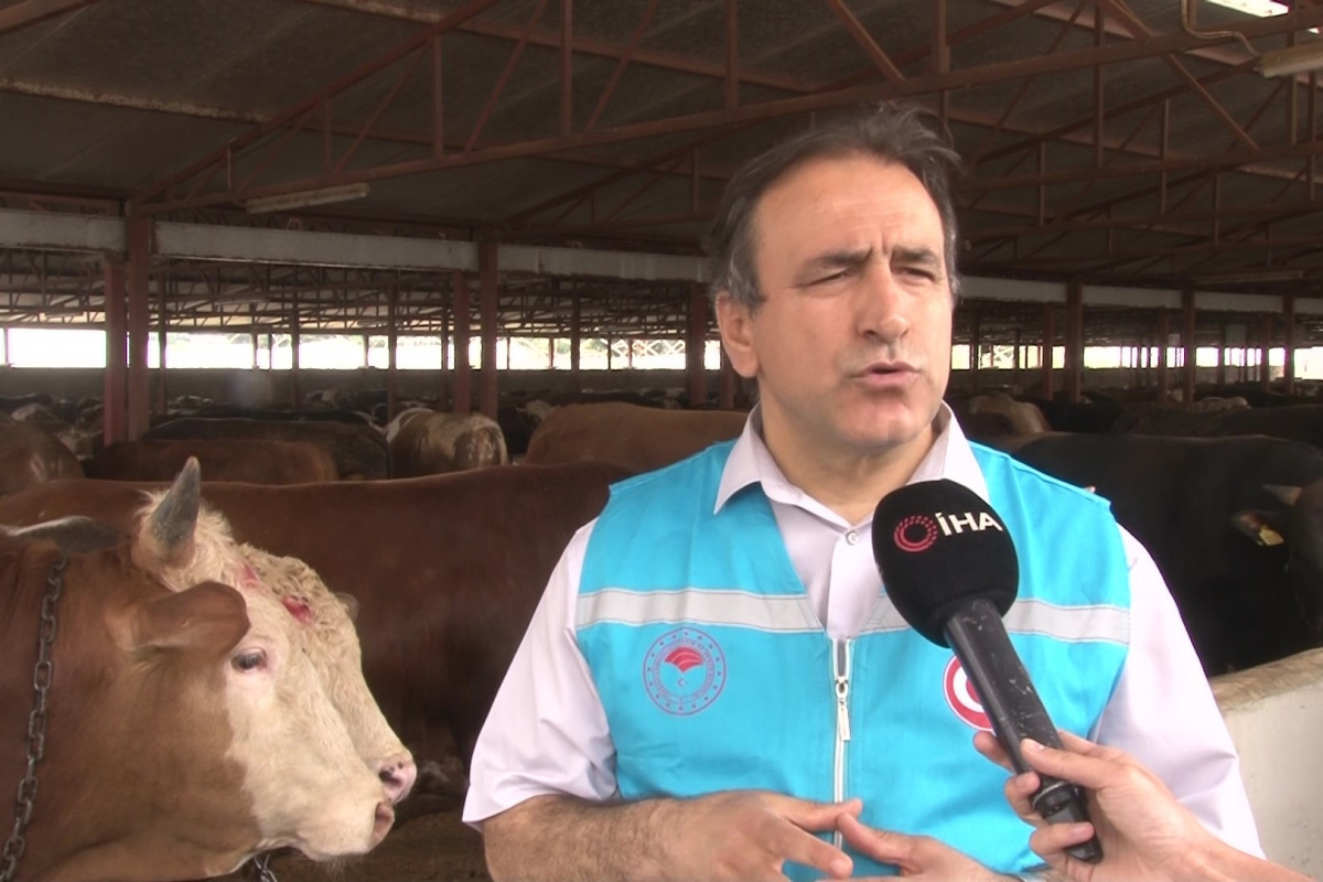 İl Tarım Müdürü Karaca: 'Vatandaşlar TÜRKVET uygulaması üzerinden hayvanın tüm bilgilerini görebilir'