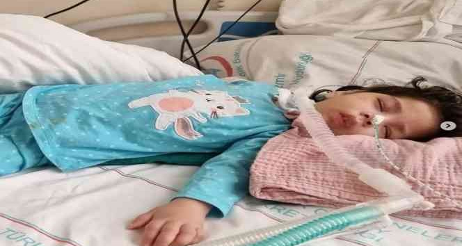 Hakan Aysev, Arya bebek için sahne alacak