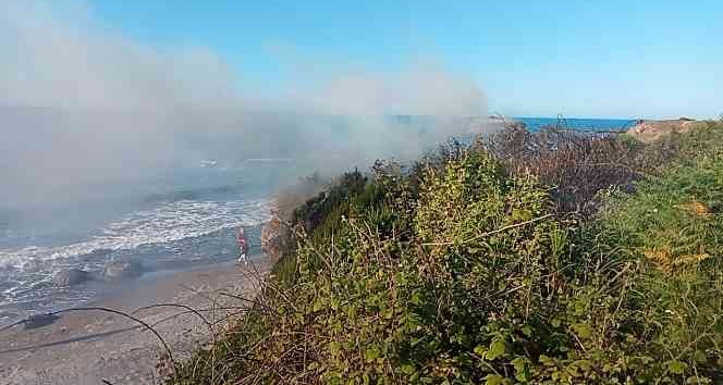 Ordu’da örtü yangını