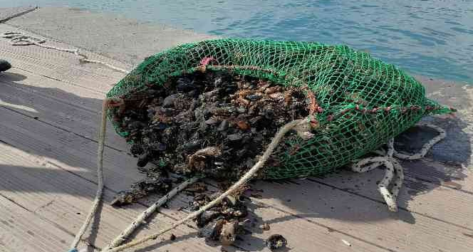 Sarıyer’de amatör olta balıkçıları ve denizde kaçak midye avcılığı denetimi