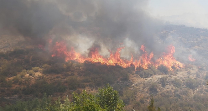 KKTCdeki orman yangınıyla mücadele devam ediyor