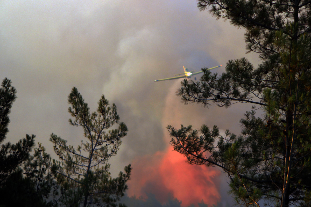 EGM'den Marmaris'teki orman yangınıyla ilgili açıklama