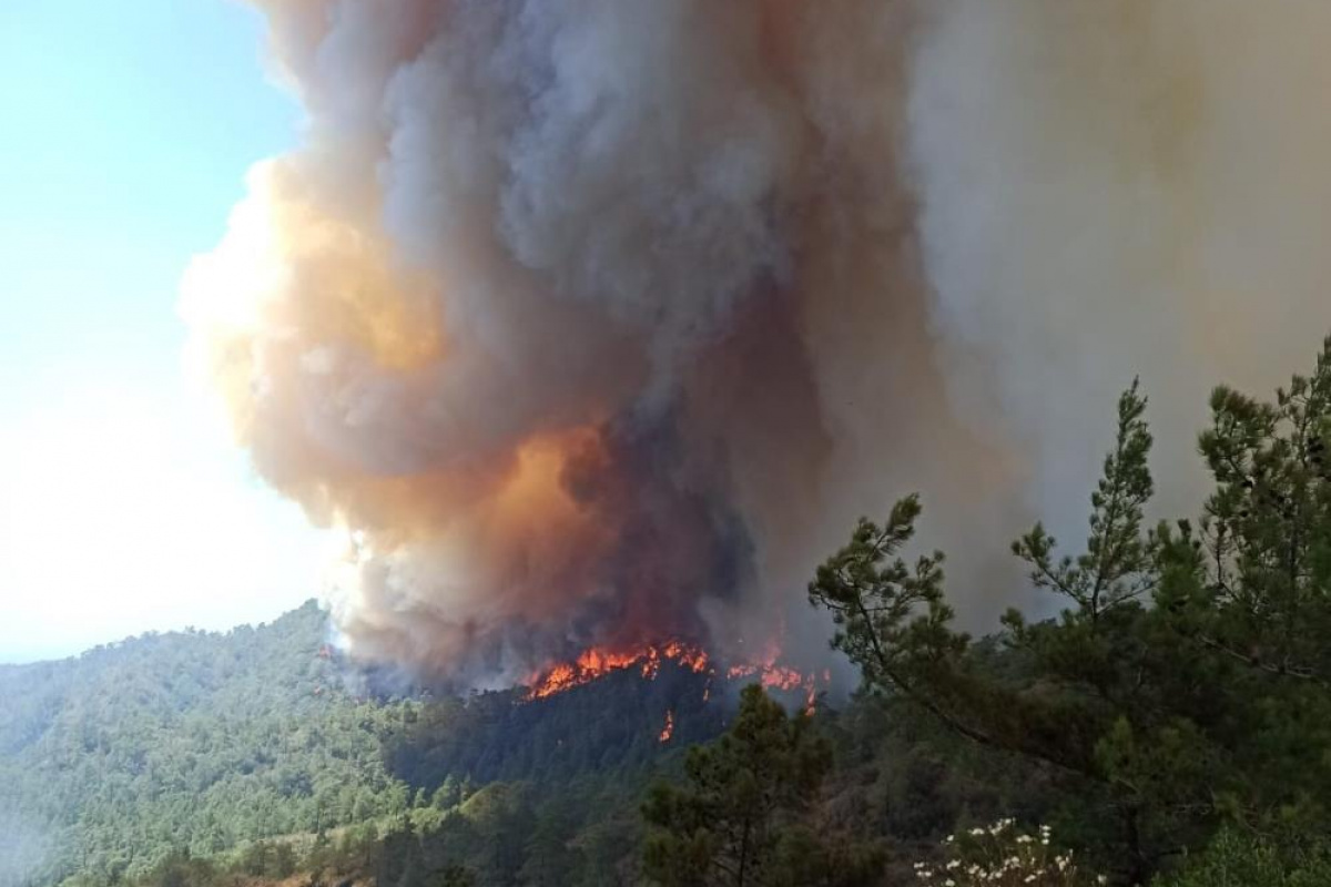 OGM'den Marmaris'te devam eden orman yangınına ilişkin son durum açıklaması