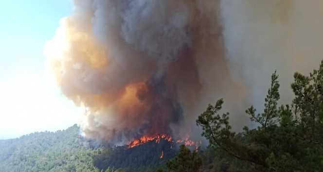 OGMden Marmariste devam eden orman yangınına ilişkin son durum açıklaması