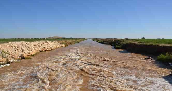 Mardin’de elektrik borcunu ödemeyen toprak sahiplerine haciz uyarısı