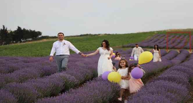 Büyükçekmece’de lavanta şenliği