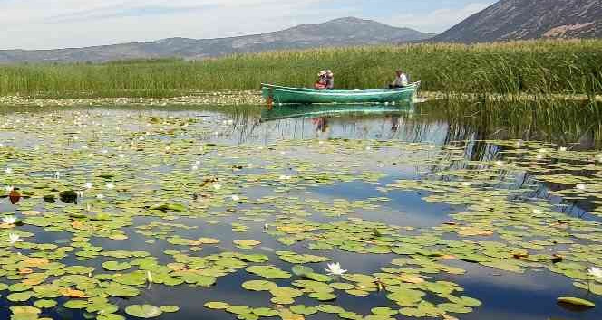 Çivril 1. Nilüfer Şenliği ile coşacak