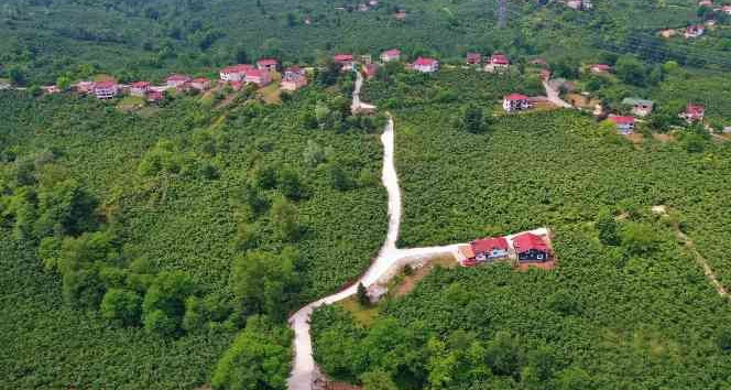 Ordu’da 42 mahallede beton yol çalışması tamamlandı