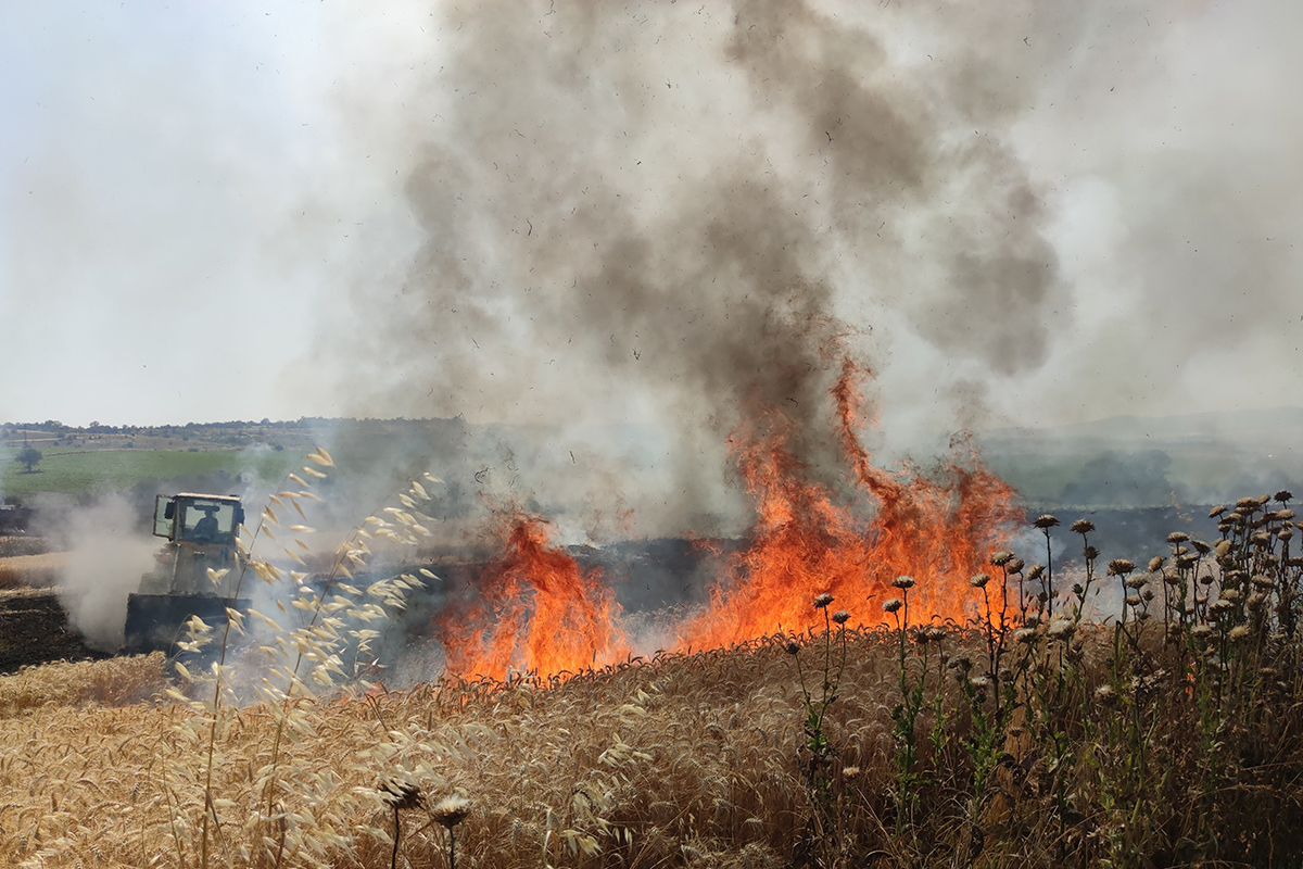 Tekirdağ'da 300 dönüm buğday tarlası alev alev yandı