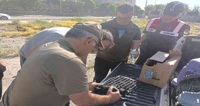 Iğdır’da ayağı ipe dolanan karga kurtarıldı