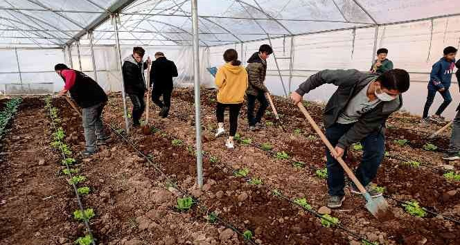 Mardin’de meslek lisesinde uygulamalı tarım eğitimi
