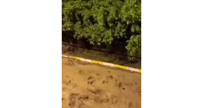 Posof’ta sağanak ve dolu etkili oldu