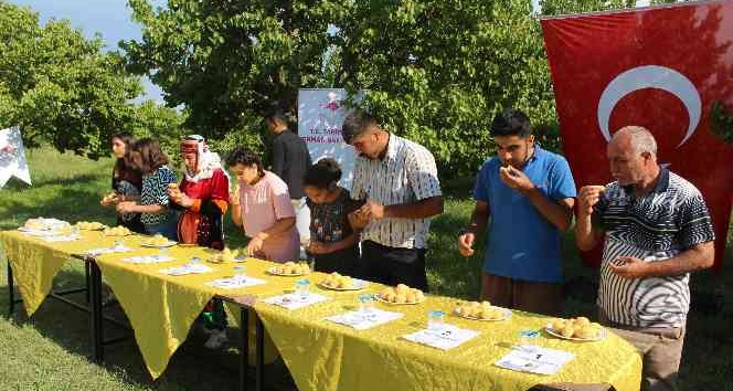 Iğdır’da ‘2022 kayısı tanıtım ve hasat günleri’ başladı