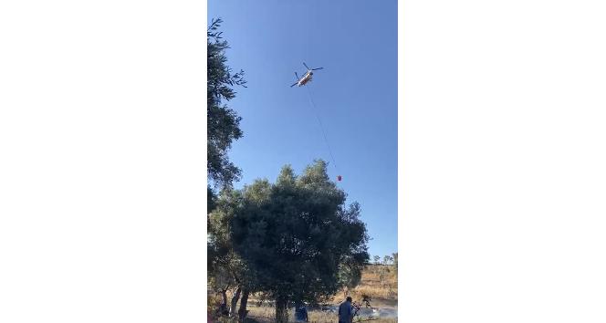 Milas’ta 50 dönüm zeytinlik alan yangında zarar gördü