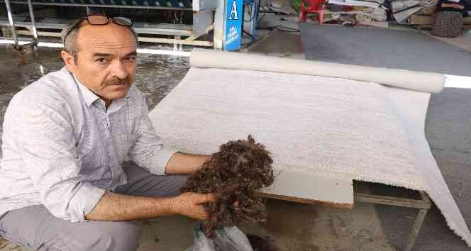 Halılar mikrop yuvası olmaması için 3 ayda bir temizlenmeli