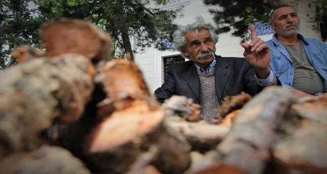 Elazığ’da şifa deposu olarak bilinen ışkın otu kökü tezgahtaki yerini aldı