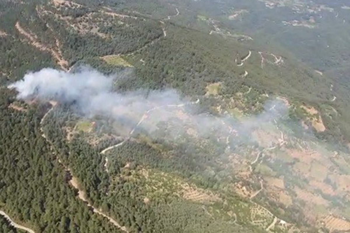 İzmir'de ormanlık alanda yangın kontrol altında