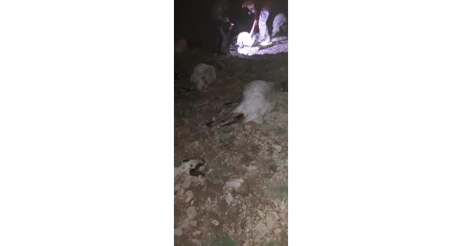 Yıldırım düştü çoban yaralandı, 63 koyun telef oldu