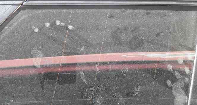 Spil Dağı Milli Parkı’nda ilk kez ayı görüldü