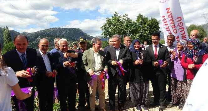 Adana’da Tapan 1. Turizm ve Lavanta Festivali kadınların başarısı damga vurdu