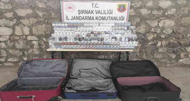 Şırnak’ta kaçakçılık ve asayiş operasyonu: 47 gözaltı