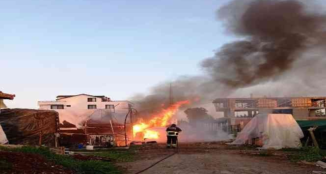 Altınova sera yangını kısa sürede söndürüldü
