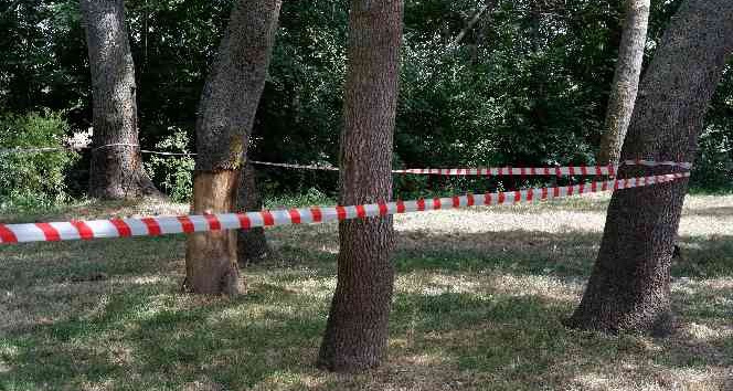 Edirne’de ormanlara giriş 3 ay yasaklandı