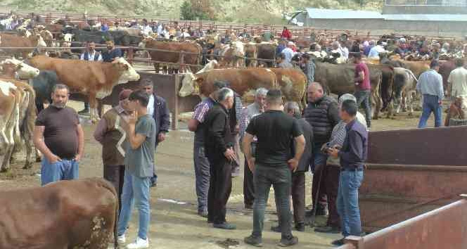 Nevşehir’de kurbanlıklar görücüye çıktı