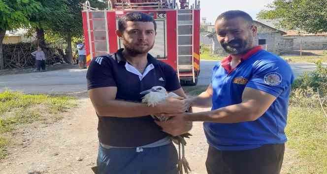 Yuvadan düşen yavru leyleğin yardımına itfaiye koştu