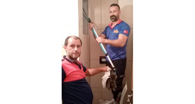 Apartman boşluğuna düşen yavru kediyi itfaiye kurtardı