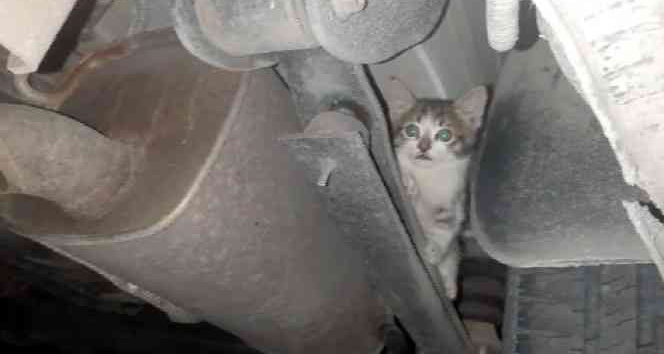 Otomobilin çamurluğuna sıkışan kediyi itfaiye kurtardı