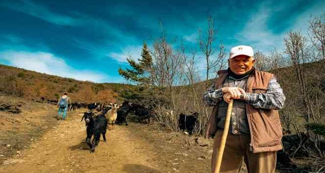 Akdağmadeni’nde yaylacılık geleneği yaşatılıyor