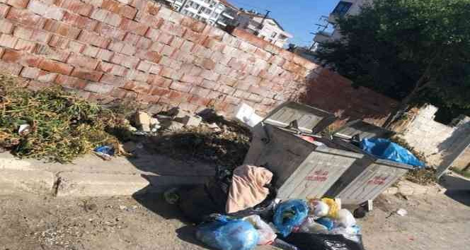 Milas Belediyesi toplamadı, ortalık çöplüğe döndü