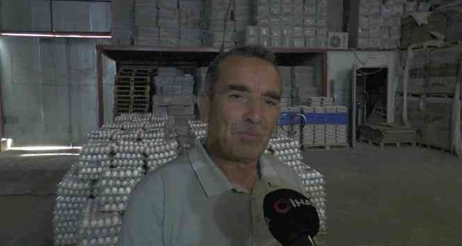Yumurta üretimi durma noktasında