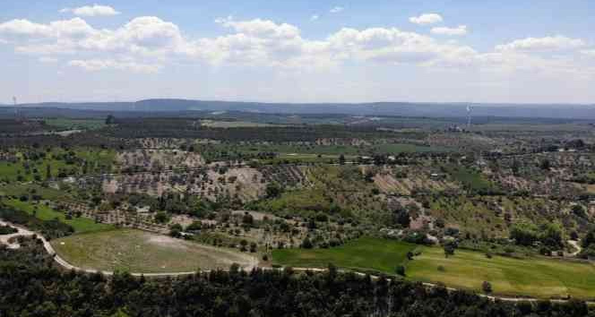 Çanakkale’de ormanlık alanlara girmek yasaklandı