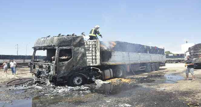 Park halindeki kayısı yüklü tır yandı, içinde uyuyan sürücü son anda dışarı çıktı