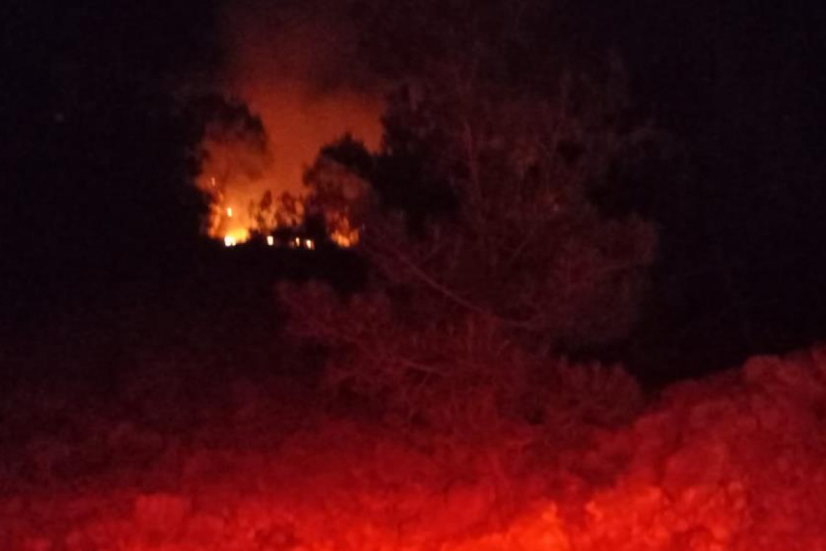Adana'da gece çıkan orman yangını kontrol altına alındı