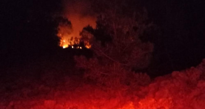 Adanada gece çıkan orman yangını kontrol altına alındı