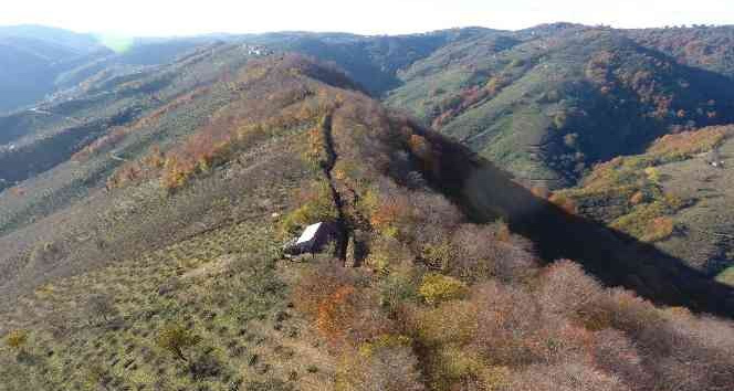 Ordu’da altyapı atağı
