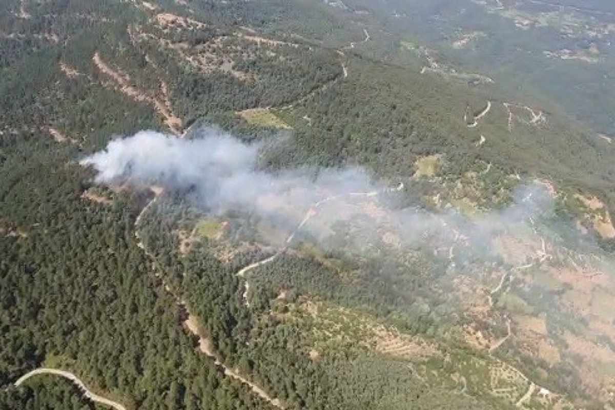 İzmir'de yangınlara erken müdahale felaketi önlüyor