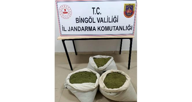 Bingöl’de 30 kilogram esrar ele geçirildi