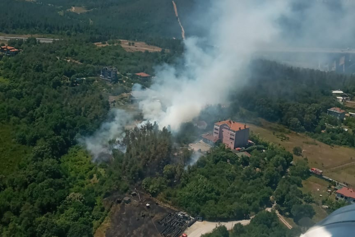 Beykoz'da ormanlık alandaki yangınla ilgili 1 şüpheli yakalandı