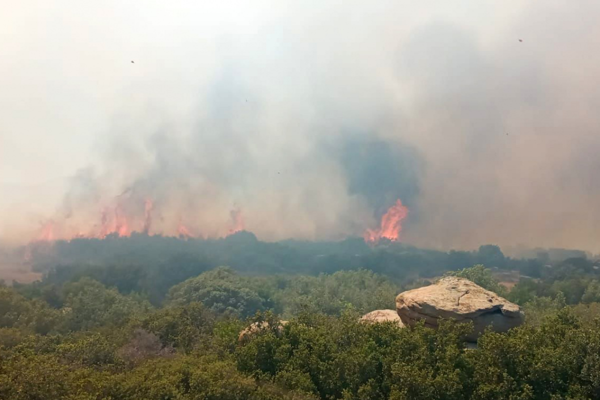 Çanakkale'deki orman yangını saatler sonra kontrol altına alındı