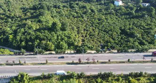 Ünye, oto galericiler sitesine kavuşuyor