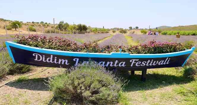Didim Lavanta Festivali için gün sayıyor