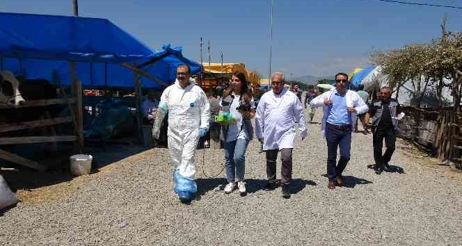 Kurban pazarında ‘ultrason’ ekibi görev başında