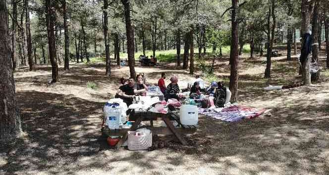 Denizli’de ormanda ateş yakmak yasaklandı